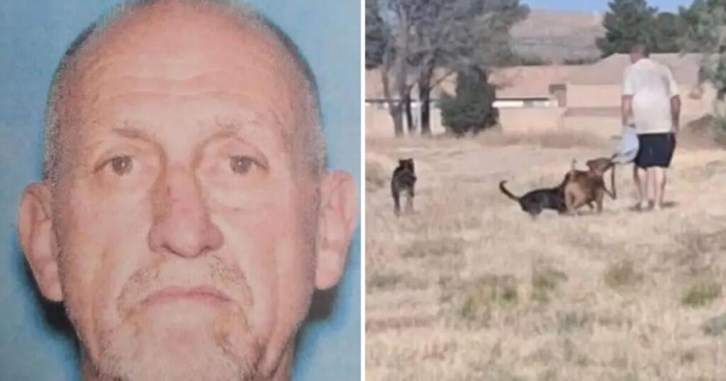 12-Year-Old California Boy Drowns After Jumping Into Lake to Escape Vicious Dogs