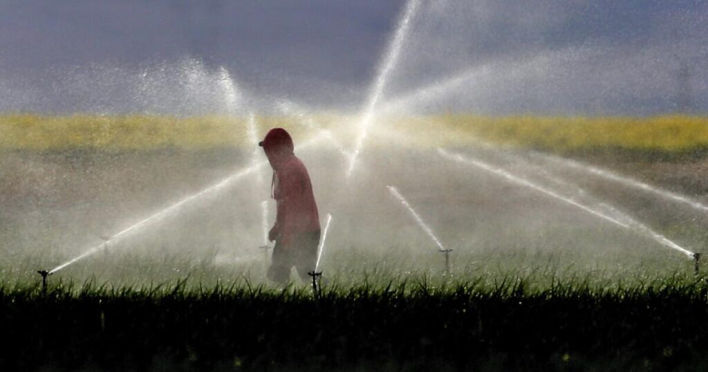 California to phase out paraquat, a weedkiller associated with serious health issues California to phase out paraquat, a weedkiller associated with serious health issues