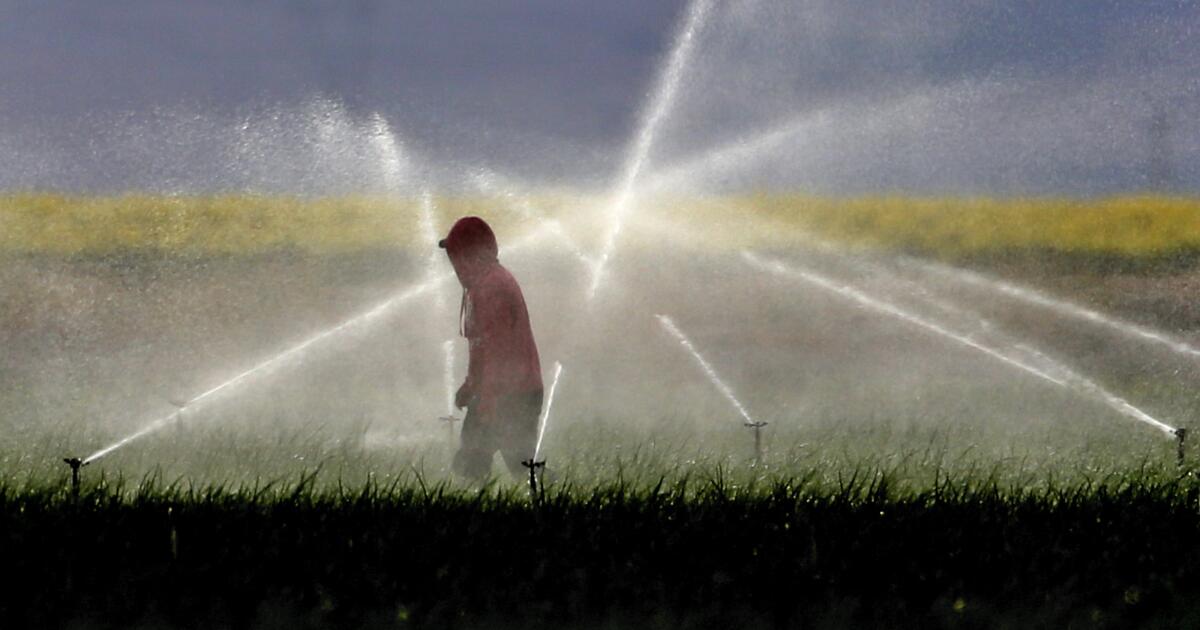 California to phase out paraquat, a weedkiller associated with serious health issues California to phase out paraquat, a weedkiller associated with serious health issues