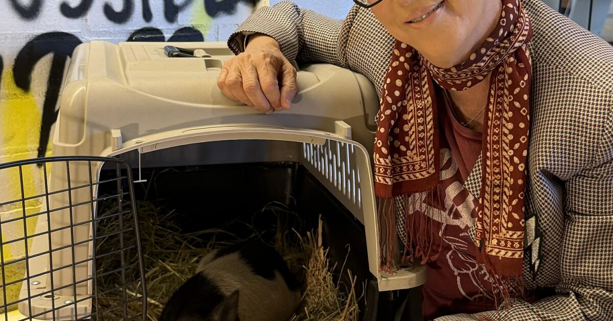 Diane Warren adopts viral West Hollywood pig Wilbur