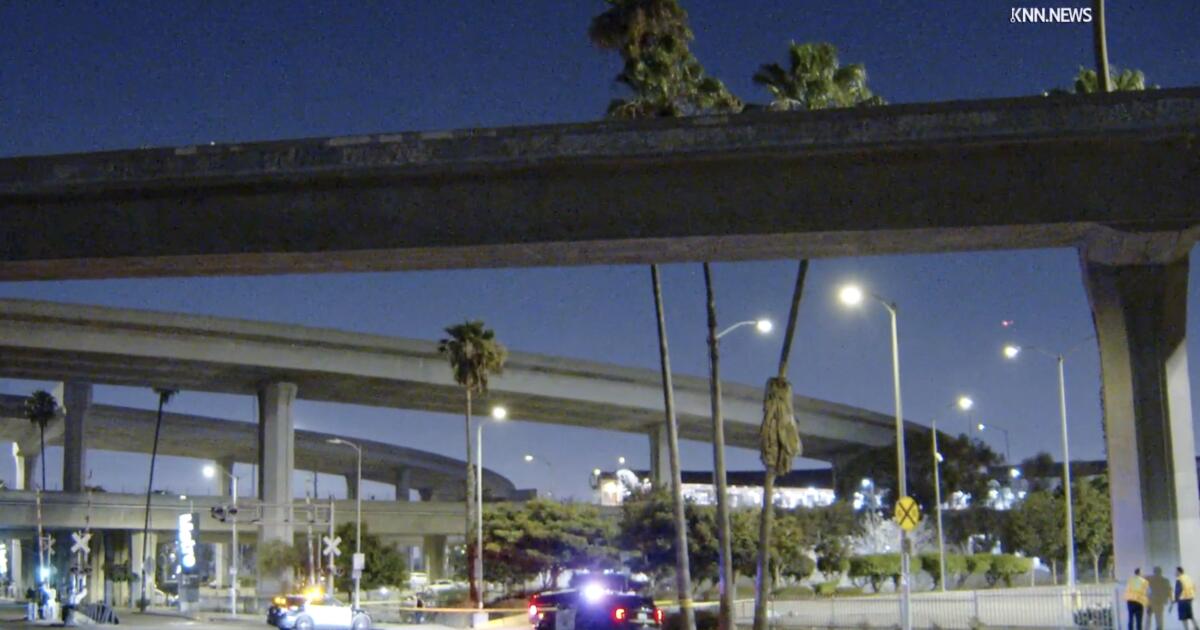 Motorcyclist takes fatal fall over edge of 105/110 freeway interchange in Los Angeles Motorcyclist takes fatal fall over edge of 105/110 freeway interchange in Los Angeles